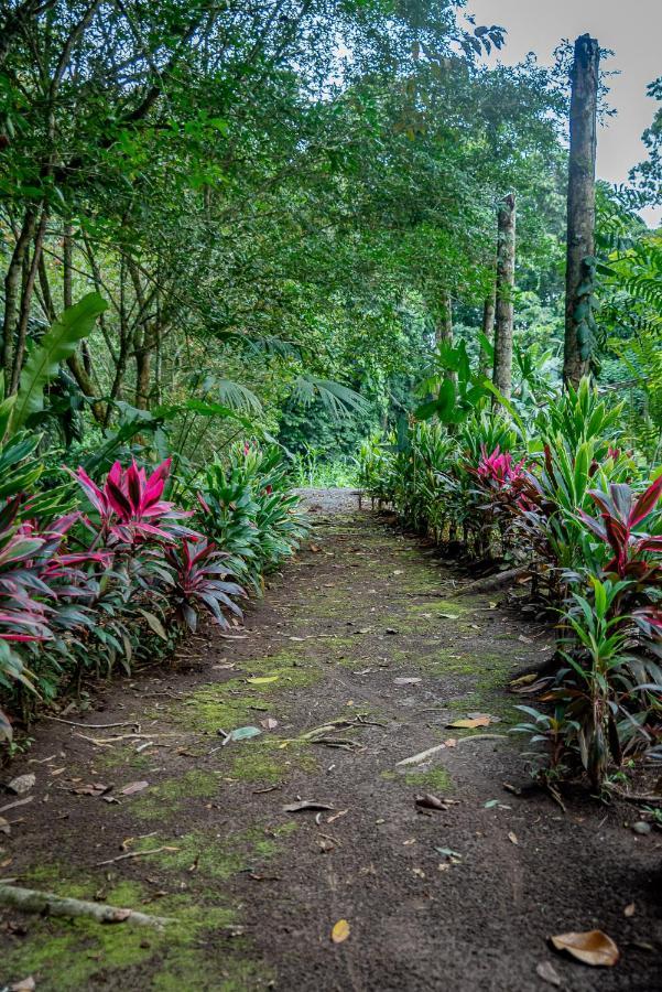 Hotel Los Rios Guácimo Dış mekan fotoğraf