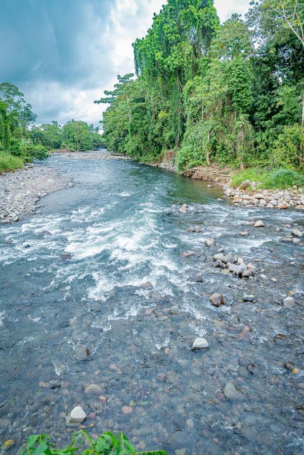 Hotel Los Rios Guácimo Dış mekan fotoğraf