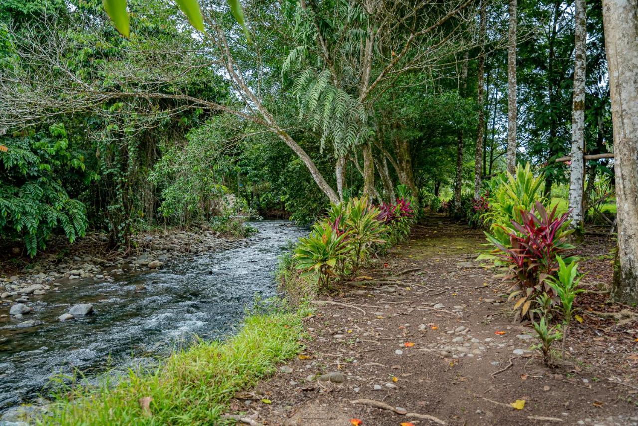 Hotel Los Rios Guácimo Dış mekan fotoğraf