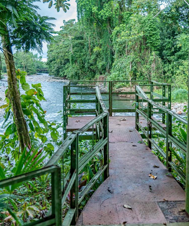 Hotel Los Rios Guácimo Dış mekan fotoğraf